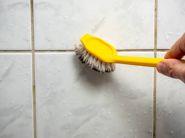 Best Residential Mold Remediation in Lmar, DE